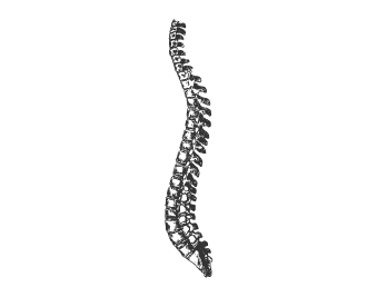 Disc Injuries - Queanbeyan & Canberra | Areté Chiropractic